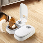 Compact 2-in-1 pet feeding station for everyday use