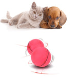 Interactive catnip ball toy for cats and kittens