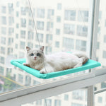 Cozy elevated cat window perch for lounging