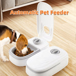 2-in-1 gravity pet feeder and water dispenser for cats and dogs