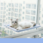 Indoor cat resting on window hammock