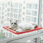 Suction cup cat hammock attached to window