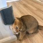 Cat rubbing against a wall-mounted massage grooming brush